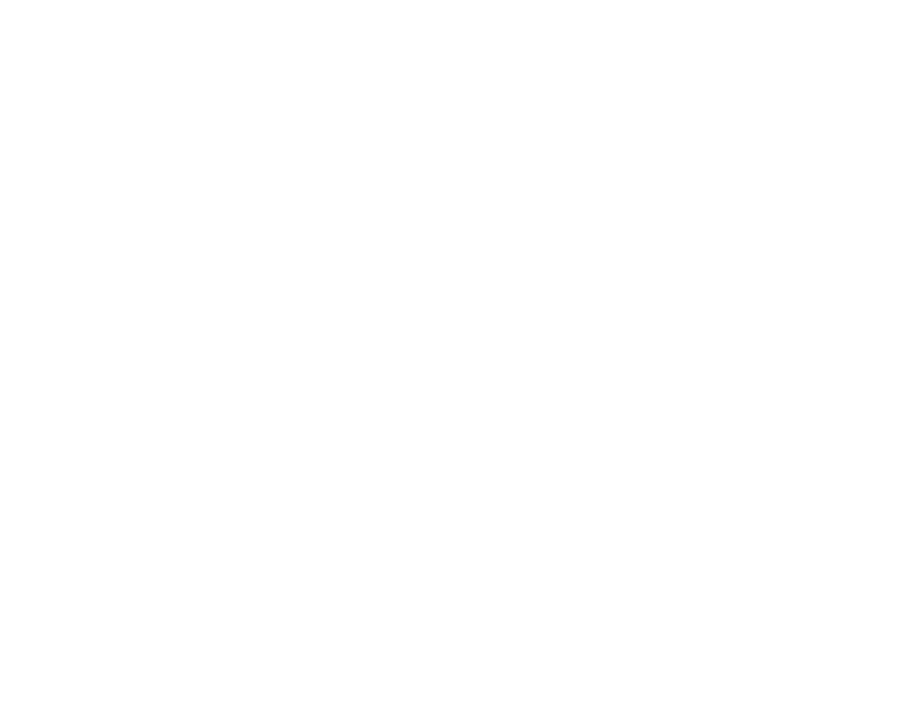 Summit Ecosystem logo