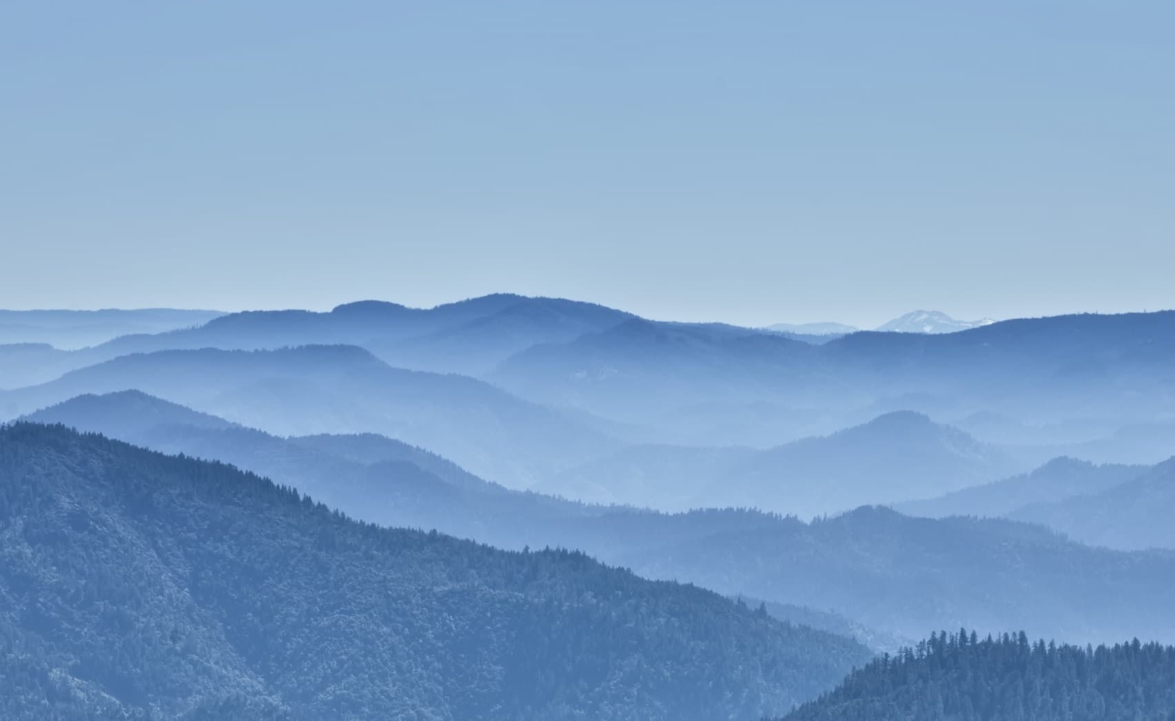 Summit Pulse™ XIV OPTIMUS™ Produksjon møter Natur, Presisjon og Ansvar